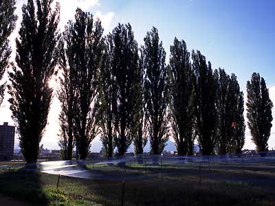 [Photo: Takahiko Nojima]