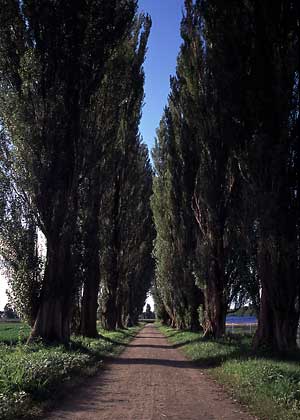 [Photo: Takahiko Nojima]