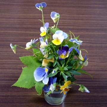 [�P�c���񂪈�ĂĂ����]