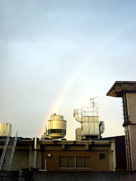 [�J�オ��̋�ɓ�]