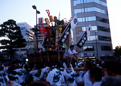 [�����_���R�}]