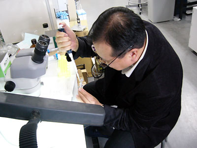 [�|�������� in ������]