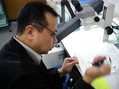 [�|�������� in ������]