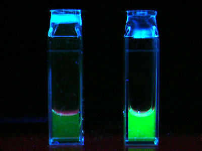 [�|�������� in ������]